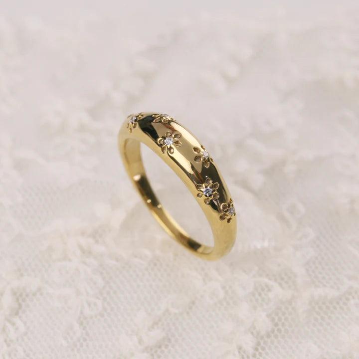 DAISY DOME BAND - Mim Diamond